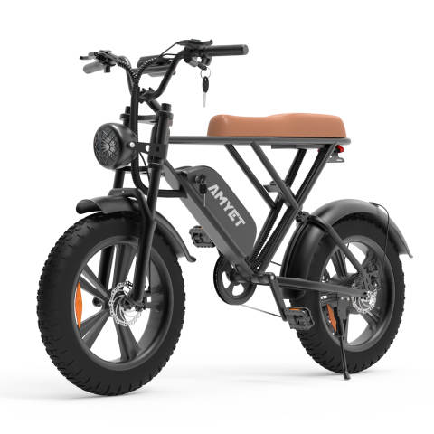 V9-G60 Iwheels Electric Bike with 1000W Motor and 20*4 off Road Tire