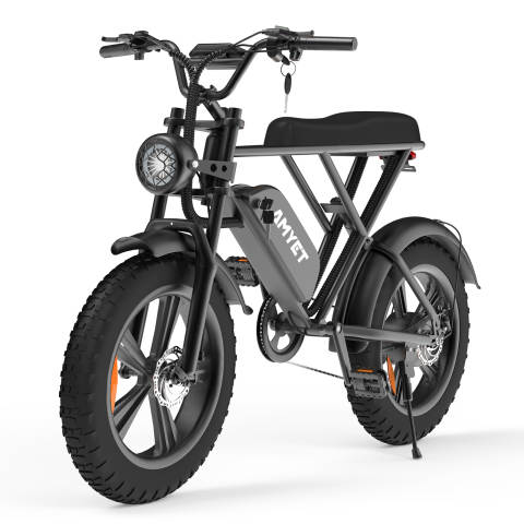 V9-G60 Iwheels Electric Bike with 1000W Motor and 20*4 off Road Tire