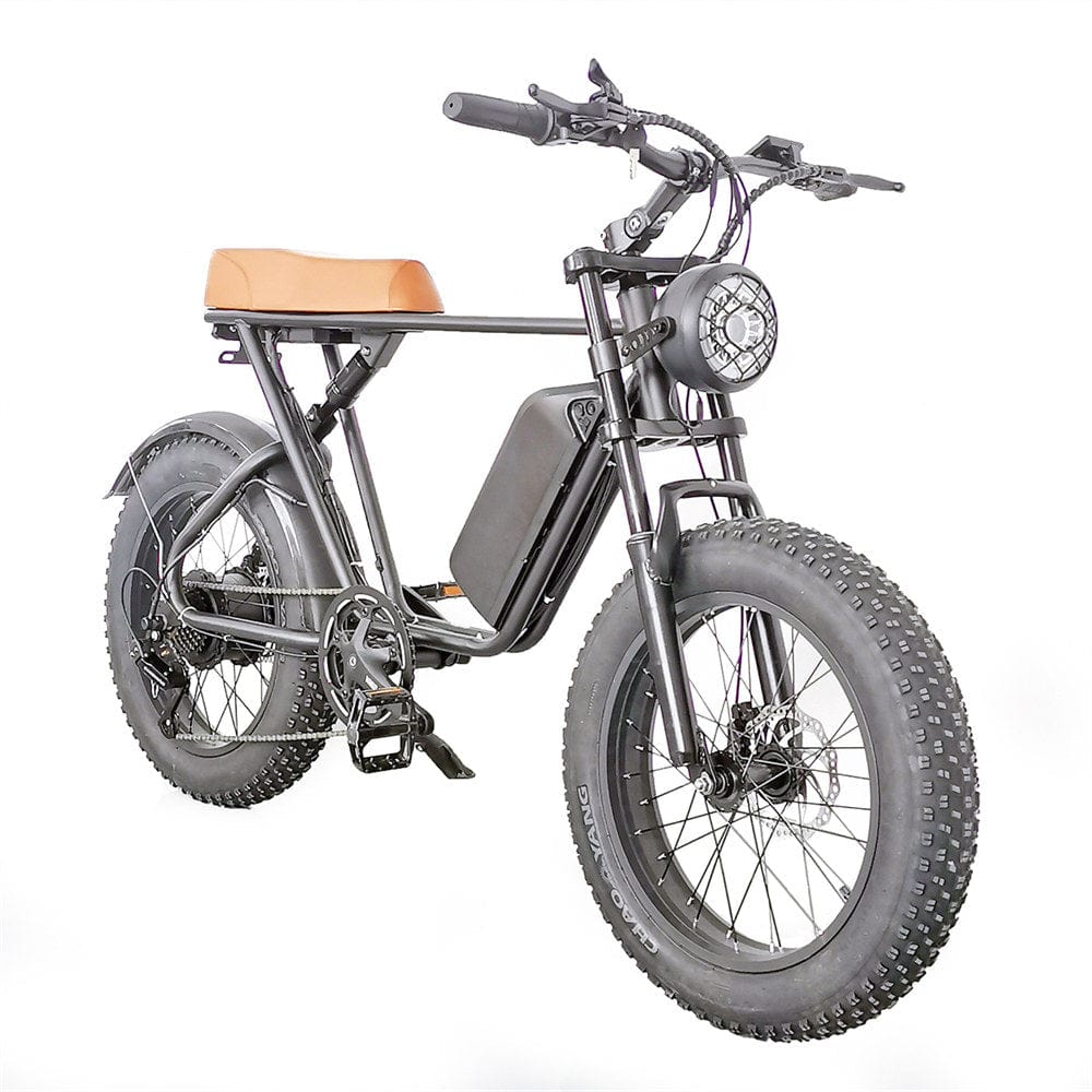 C91  Electric Bike with 1000W Motor, 48V20Ah Battery, Max Speed 34mph and 20 inch Fat Tires