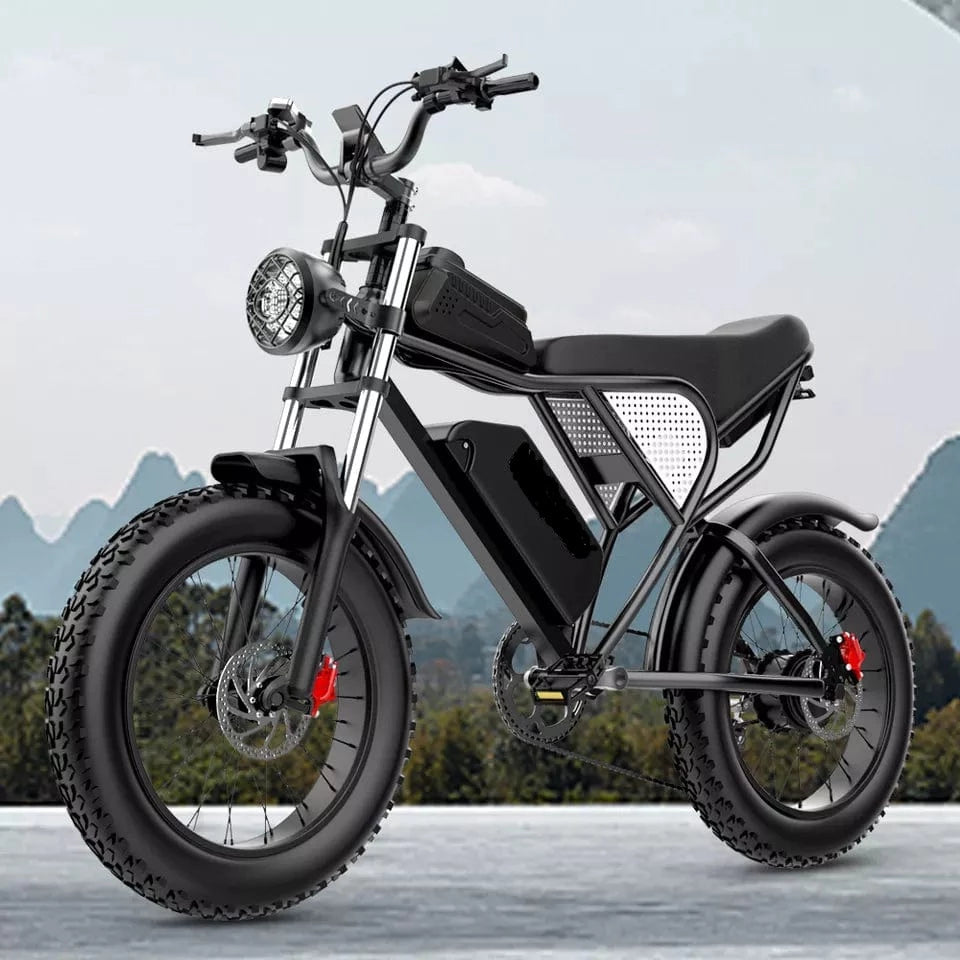 EZ-Q20PRO IEZWAY Electric Bike with 1000W Motor, 48V20Ah Battery, Max Speed 32mph and 20 inch Fat Tires