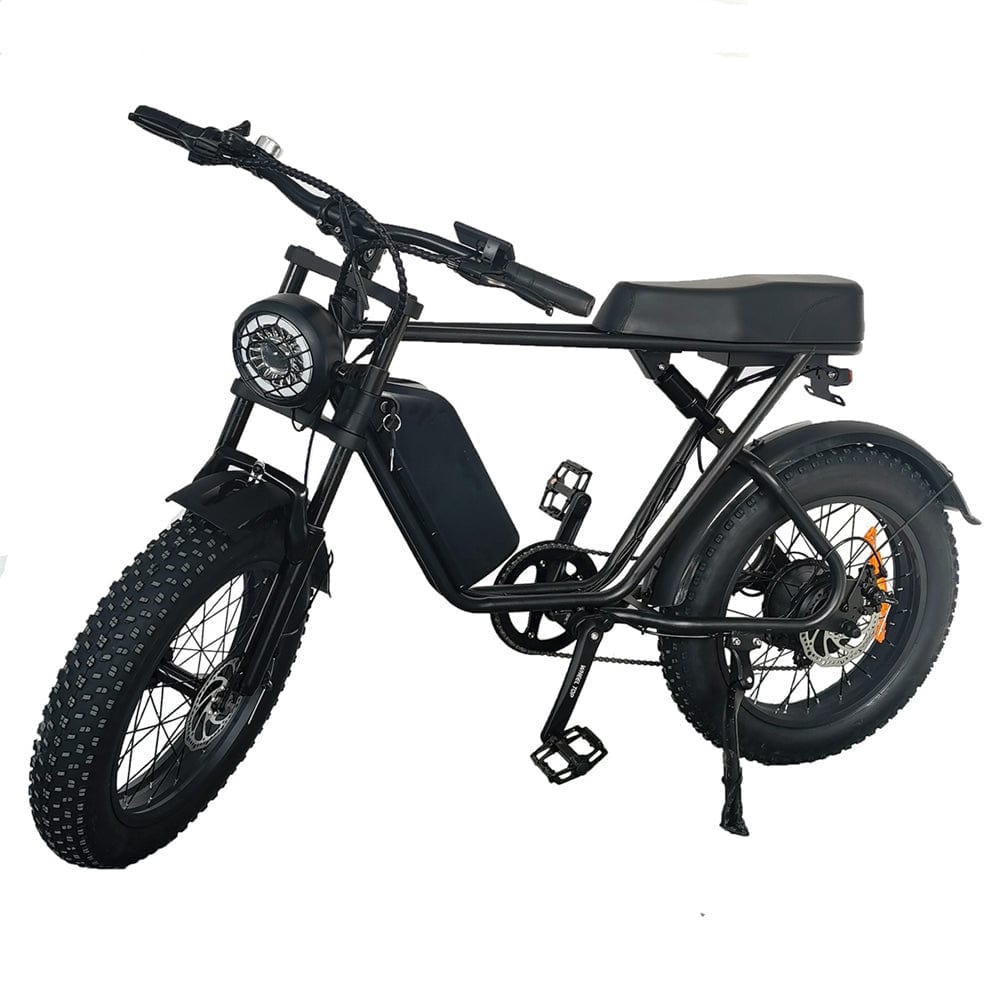 C91  Electric Bike with 1000W Motor, 48V20Ah Battery, Max Speed 34mph and 20 inch Fat Tires