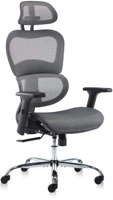Ergonomics Mesh  Computer Chair With Adjustable Headrest and Armrests
