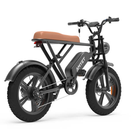 V9-G60 Iwheels Electric Bike with 1000W Motor and 20*4 off Road Tire