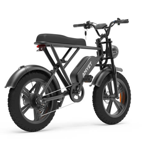 V9-G60 Iwheels Electric Bike with 1000W Motor and 20*4 off Road Tire