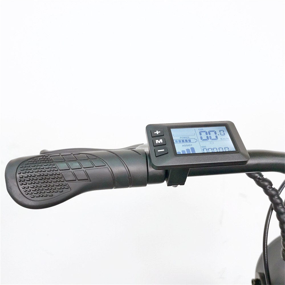 EZ-C91 IEZWAY Electric Bike with 1000W Motor, 48V20Ah Battery, Max Speed 34mph and 20 inch Fat Tires