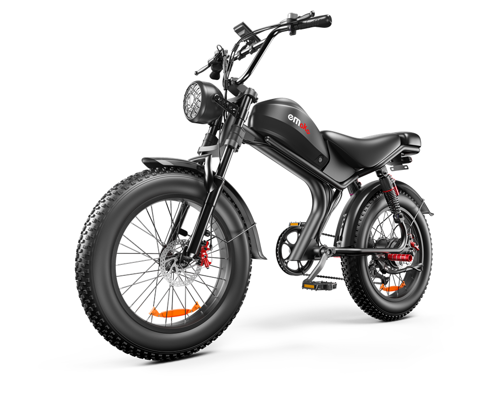 C93 E-Bike with Single 1000W Motor, Max Speed 31mph ,Battery 48v 20Ah Fat Tires 20*4"