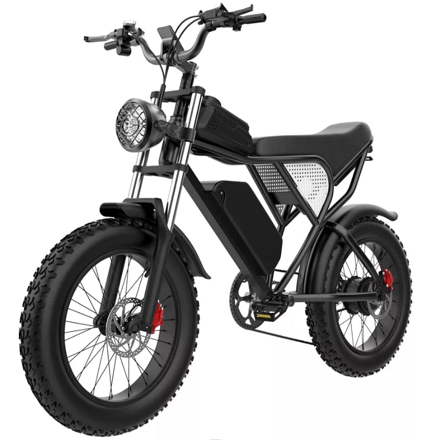 EZ-Q20PRO IEZWAY Electric Bike with 1000W Motor, 48V20Ah Battery, Max Speed 32mph and 20 inch Fat Tires