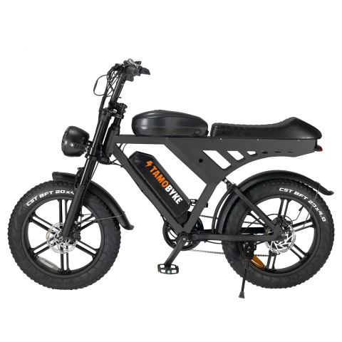 V30 QMWHEEL Electric Bike with 750W Peak Power Motor And 20*4 inch Tires