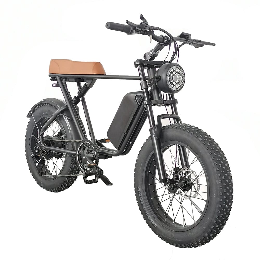 C91  Electric Bike with 1000W Motor, 48V20Ah Battery, Max Speed 34mph and 20 inch Fat Tires