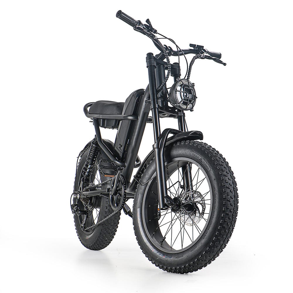 EZ-J1 IEZWAY Electric Bike with 500W Motor, 48V15Ah Battery, Max Speed 30mph and 20 inch Fat Tires