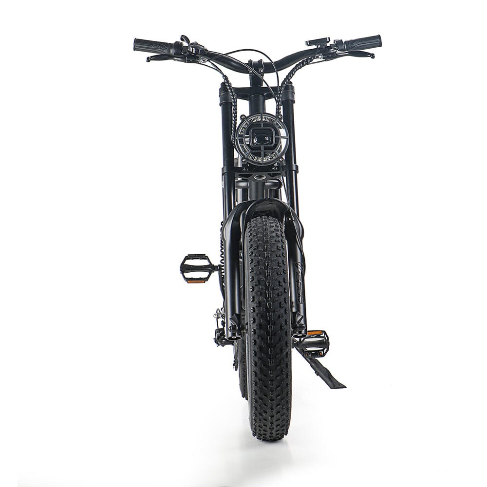 EZ-J1 IEZWAY Electric Bike with 500W Motor, 48V15Ah Battery, Max Speed 30mph and 20 inch Fat Tires