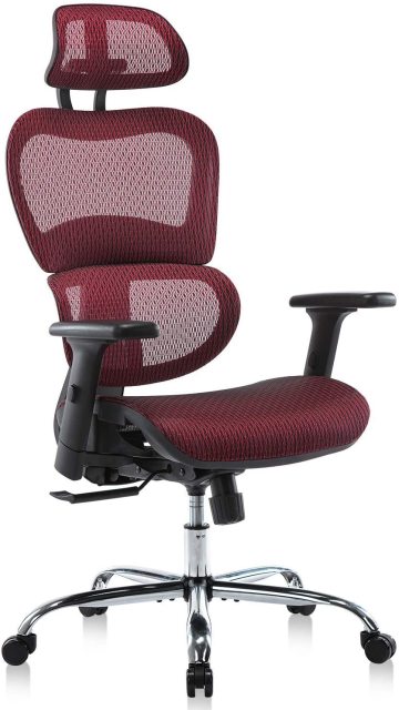 Ergonomics Mesh  Computer Chair With Adjustable Headrest and Armrests